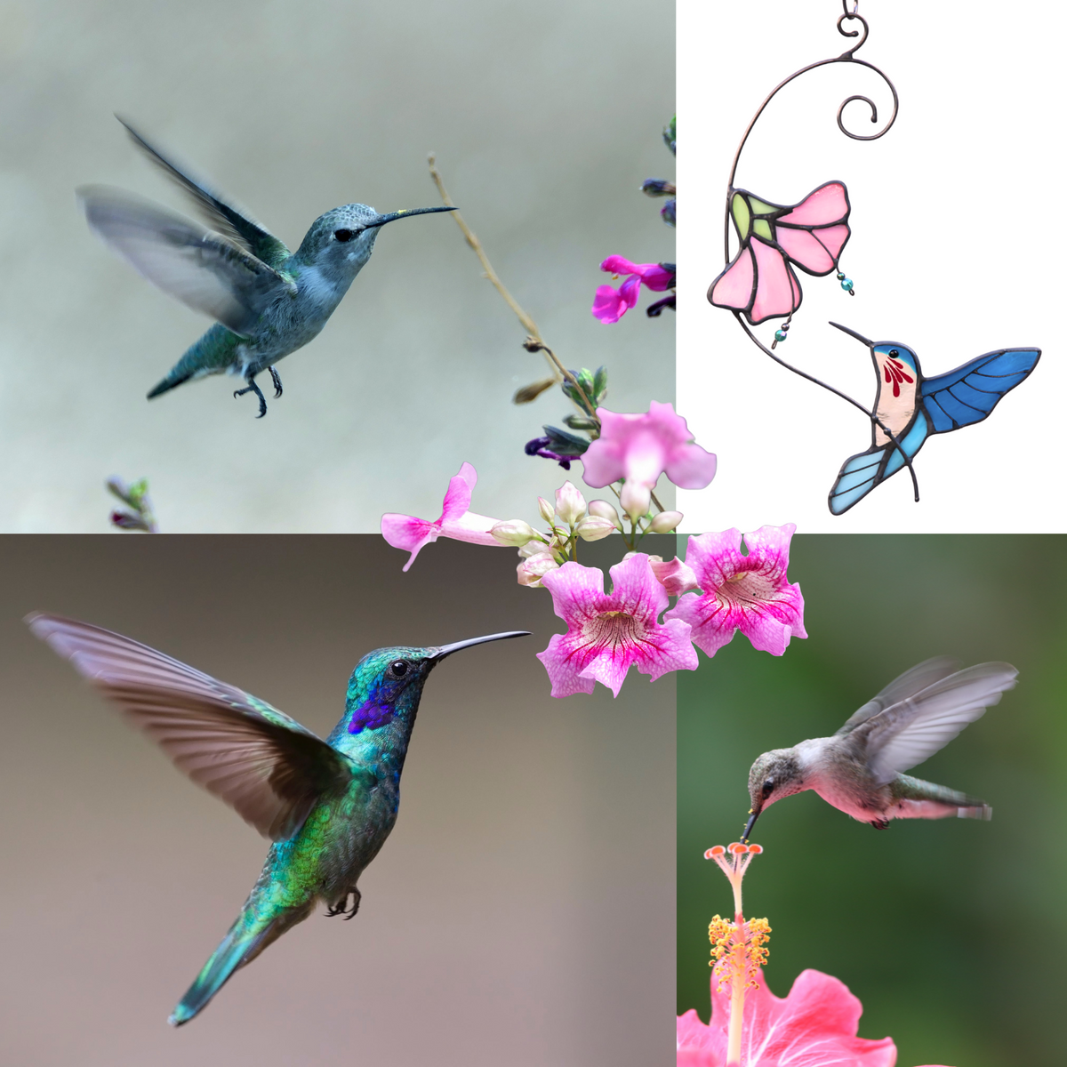 Hummingbird Trumpet Flower Stained Glass Suncatcher
