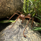 Handmade Rustic Metal Ant Sculpture