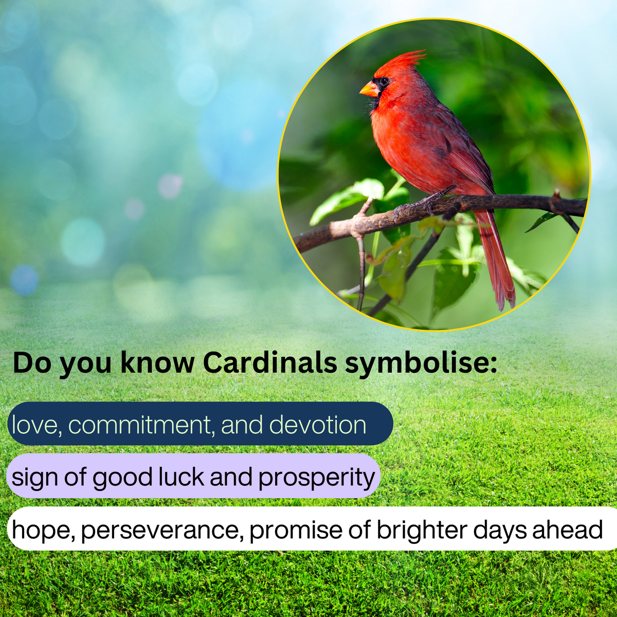 Red Cardinal with Berries Stained Glass Suncatcher