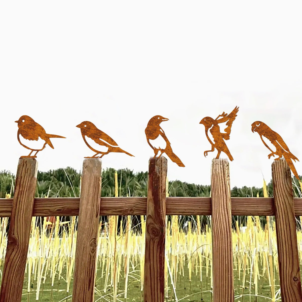 Rusty Metal Bird Garden Ornament Set