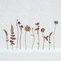 Rustic Wildflower Silhouette Metal Wall Art